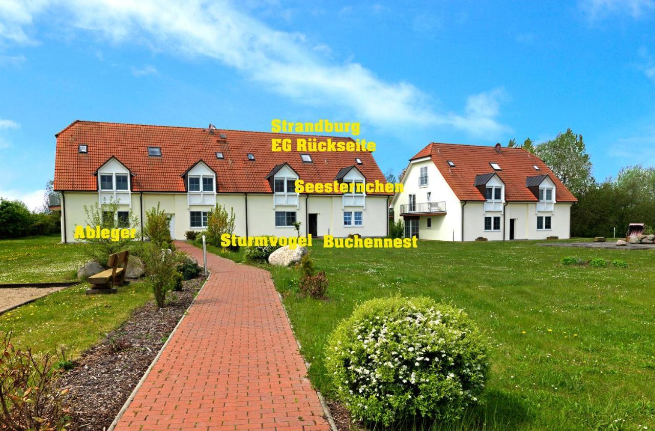 Ferienwohnung Gollwitzer Park Oase Poel Exterior foto